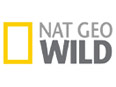 Канал 'Nat Geo Wild' - это программы о мире дикой природы, рассказывающие о жизни в этом полном тайн королевстве