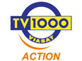 Основным продуктом киноканала 'TV 1000 Action' стали фильмы в жанре 'боевик'